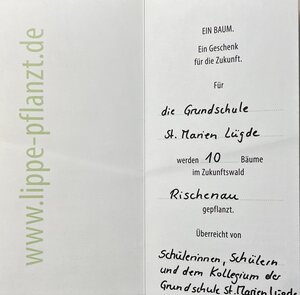 Bild vergr&ouml;&szlig;ern: Zukunftswald